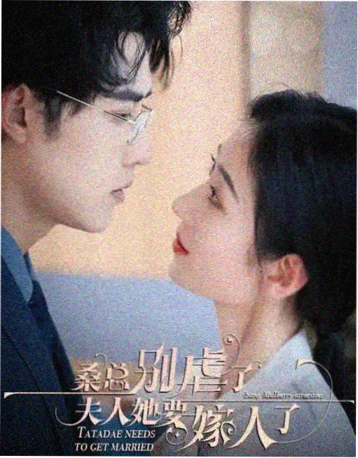 丹丹影视 热播榜第二